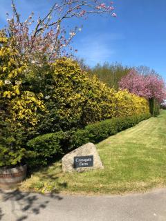 Impeccable cottage suitable for 2 adults & 1 child - Tockwith - 7