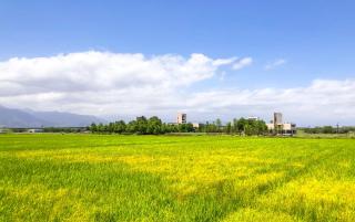 Villa LOHERB - Dongshan - 0