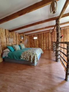 Proyecto COYAM, cabañas lofts, tinas privadas, sendero por el bosque - Villarrica - 8