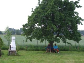 Ferienhaus Boddenhus - Middelhagen - 3