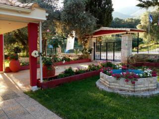 Zozefina Apartments and Studios - Parga - 7