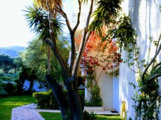 Zozefina Apartments and Studios - Parga - 1