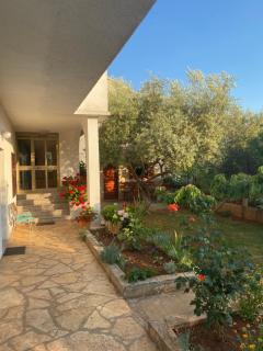 Apartment Nina - Zadar - 0