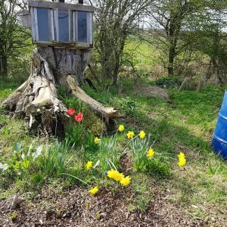 Cosy escape heated luxury pod and hot tub - Sheerness - 5