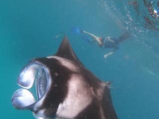 LVIS blancura Hotel - Dharavandhoo - 2