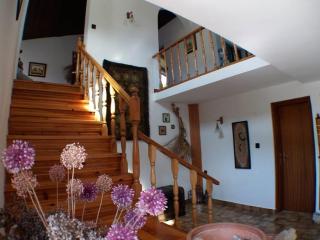 Holiday house in Kukljica with sea view, terrace, air conditioning, Wi-Fi (4572-1) - Kukljica - 7