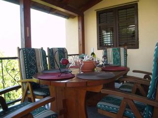 Holiday house in Kukljica with sea view, terrace, air conditioning, Wi-Fi (4572-1) - Kukljica - 4