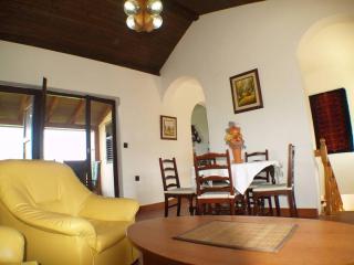 Holiday house in Kukljica with sea view, terrace, air conditioning, Wi-Fi (4572-1) - Kukljica - 3