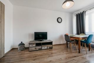 Nocosfera Apartament Serbinów - 5
