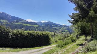 Haus Pinter in Schladming - Dachstein Region - Pruggern - 8
