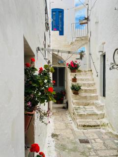 WHITE STONE- La nicchia - 5