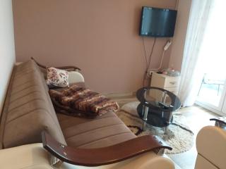 Fruskogorska Idila Apartmani - 1