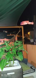 La Casita de Celia - Alicante - 2