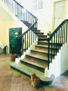 Le Domaine de Villespy - Villespy - 5