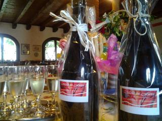 Agriturismo MELO IN FIORE con camere e colazioni nella zona del Prosecco DOCG Asolo - Maser - 4