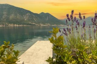Apartments D&V - Kotor - 5