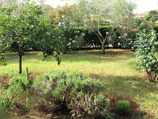 Villa Vienna - Novigrad Istria - 5