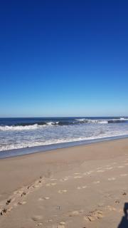 Beachwalk guesthouse - Esmoriz - 7