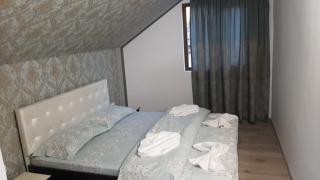 Casa Sviniceană - Sviniţa - 9