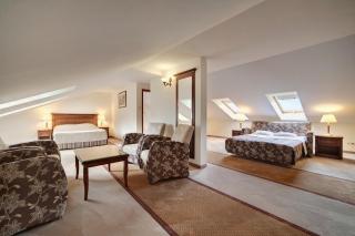 Hotel Prezydent Krynica Zdrój - Krynica Zdrój - 7