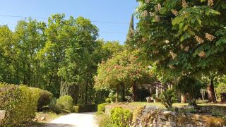 Domaine du Cardou - 3