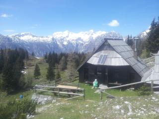 Chalet Zlatica Velika Planina - Stahovica - 9