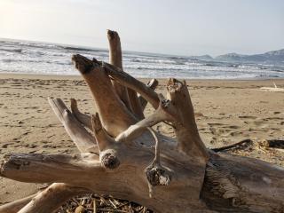 Giannella Tuscany Holidays - 0