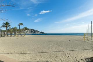 the beach milenium - Roses - 6
