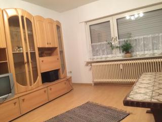 Ponnies Haus - Surwold - 9