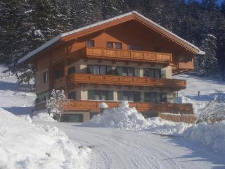 Haus Fernsebner - Lofer - 2