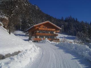 Haus Fernsebner - Lofer - 1