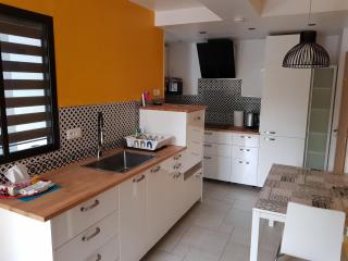 Bel appartement spacieux et confortable idéalement situé - Amboise - 3