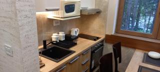 Zlatibor apartmani centar - 5