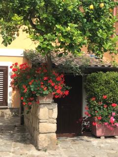 Da Sabrina - Castellabate - 4
