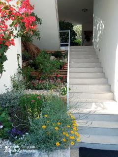 Apartments Kule - 7