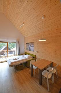 Apartmány Chata Večernice - Dolní Morava - 3
