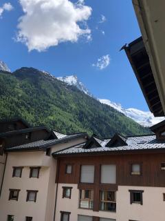 Grey Squirrel Home - Chamonix-Mont-Blanc - 2