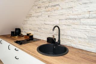 Domus Fortuna - Vilnius - 4