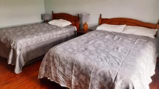 Bridgeview Farmhouse Bed and Breakfast - Kilbrittain - 6