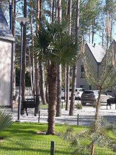 Kotedžas poilsiui - 3