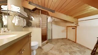 Timberline Condominiums 1 Bedroom plus Loft Deluxe Unit A3C - Snowmass Village - 3