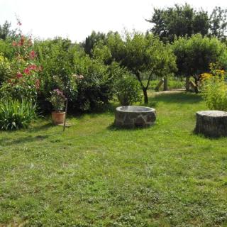 Ilona apartmanok - Balatonboglár - 4
