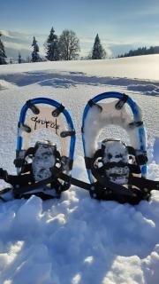 Frühstückspension Bilgeri - 3