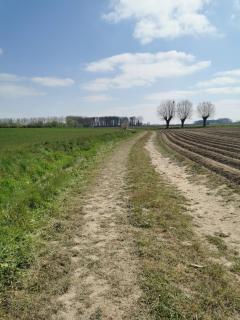 Sint-Sixtus 99 - 3