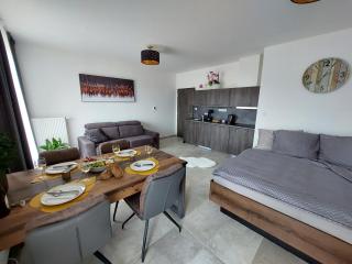 Apartmán Rezidence Javor Železná Ruda - Železná Ruda - 7