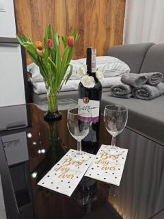 Noce w Jelonce - Nowoczesny Apartament typu Studio w Centrum Jeleniej G - z garażem dla 1-4 osób - Jelenia Góra - 2