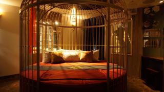 Cozi 9 Hotel - Theme Hotel - Kiến An - 5