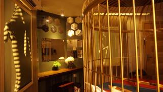 Cozi 9 Hotel - Theme Hotel - Kiến An - 3