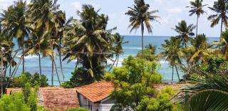 Lavender mirissa - 4