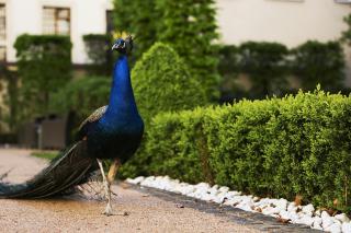 The Grand Mark Prague - The Leading Hotels of the World - Praga - 4